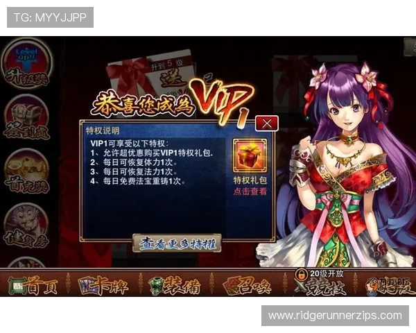 九游官方网站首页会员权益与特权介绍享受专属福利提升游戏体验感