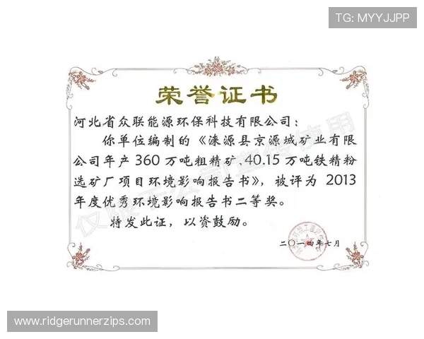 九游有限公司的企业文化与团队建设对公司持续发展的影响