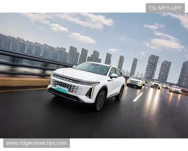 J9九游在线安全保障措施与账号安全维护全方位解读