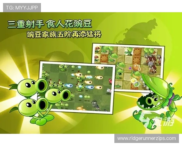 九游PG电子游戏热门游戏推荐适合新手玩家的入门指南